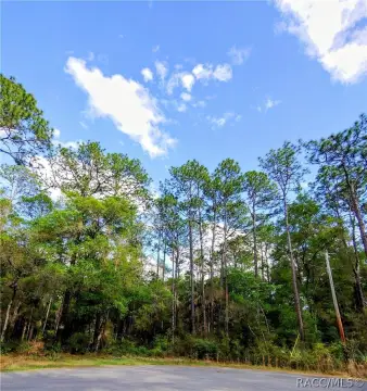 Crystal River Treed Land Parcel