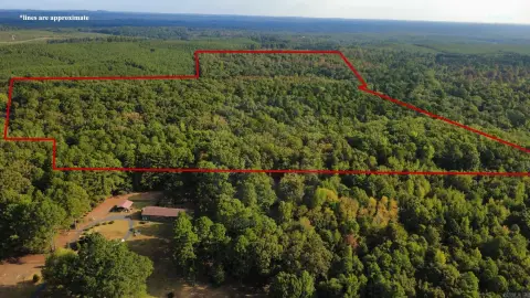 Wooded Hunting Land