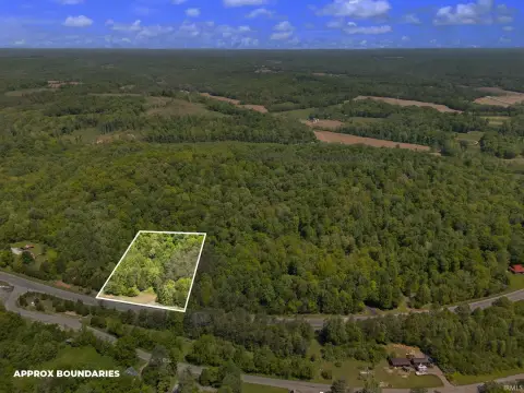 Wooded Hunting and Recreation Tract