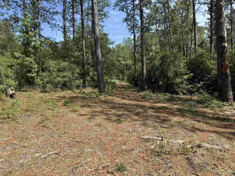 Residential Lot in Rayburn Country