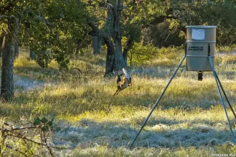 Agricultural Land with Water Well