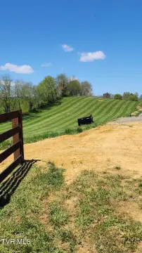 Residential Land in Butler, TN