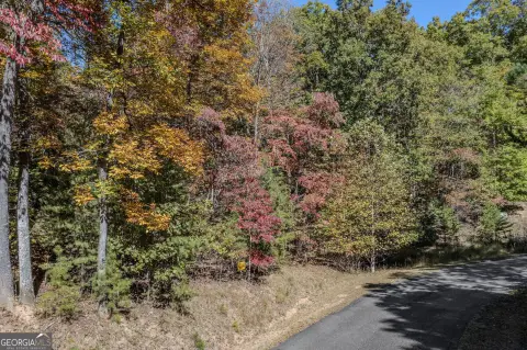 Wooded Lot in Gated Community