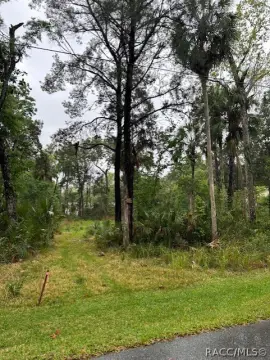 Cleared Lot in Old Homosassa
