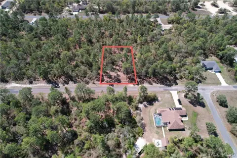 Cleared Acre in Citrus Springs