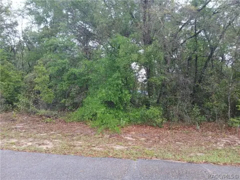 Land in Growing Dunnellon Community
