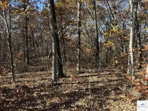 54 Acres in Lincoln, MO