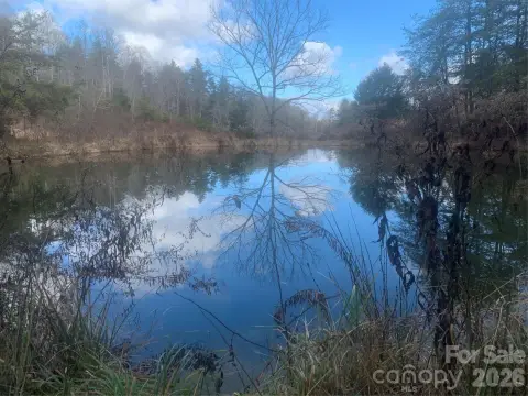 Farmland with Spring-Fed Pond
