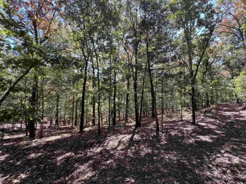 Wooded Rural Land Tract