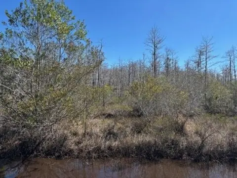 Holopaw Land for Sale