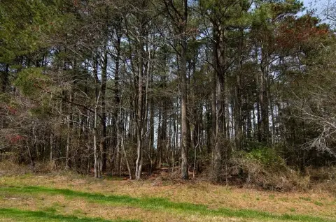 Residential Lot in Captain's Cove