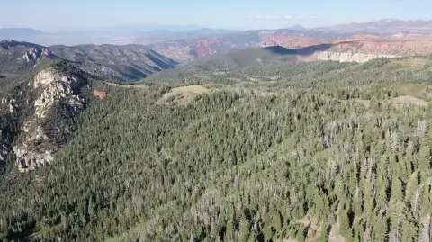 Zoned Agricultural Mountain View Land