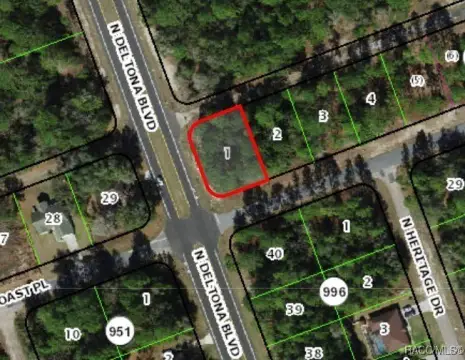 Citrus Springs Buildable Corner Lot