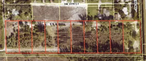 Agricultural Land with Mature Trees