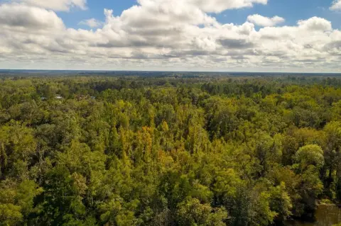 28 Acres in Quincy, FL