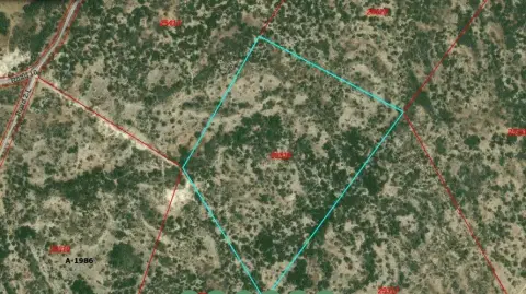 Scenic Hunting Land Tract