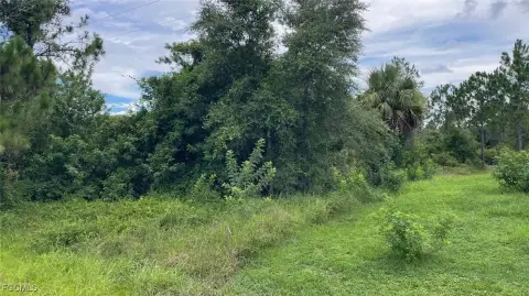 Lehigh Acres Half-Acre Lot
