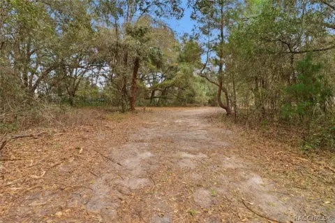 5.6 Acres in Crystal River