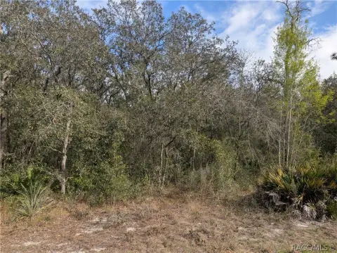 Residential Land Near Homosassa Springs