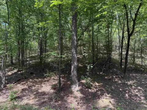 Mena, AR Acreage for Sale