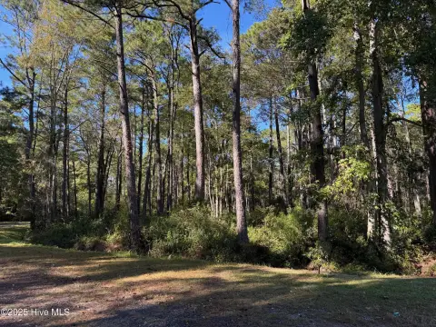 Residential Lot in Carolina Shores