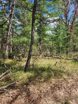 Buildable Lot in Lake County