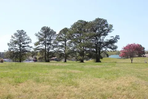 Golf Course Lot in Greenbackville