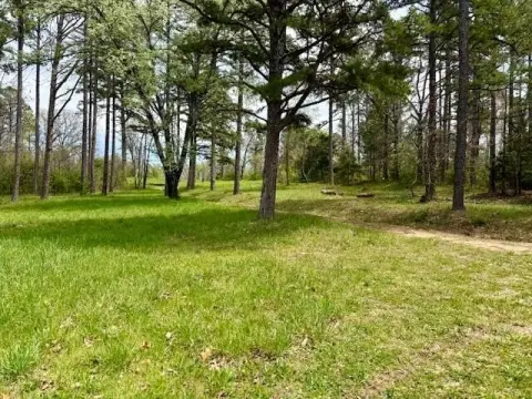 Cleared Flat Buildable Land