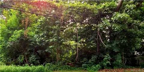 Ronkonkoma Land For Sale