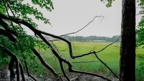 Residential Land Near Warwick River