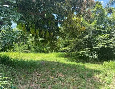 Rural Agricultural Land