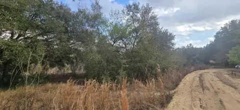 Residential Land in Umatilla, FL