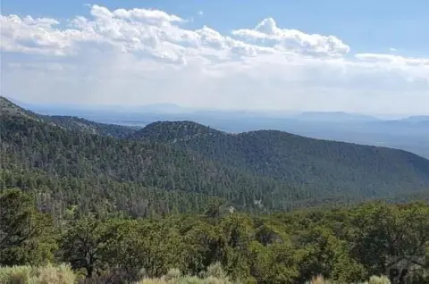 Fort Garland Vacant Land