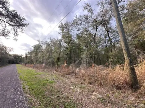 Residential Land in Inverness, FL