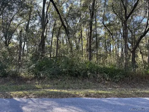 Inverness, FL Vacant Land