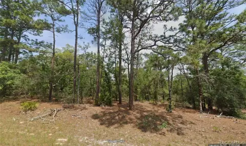 Land Near Rainbow Springs Park
