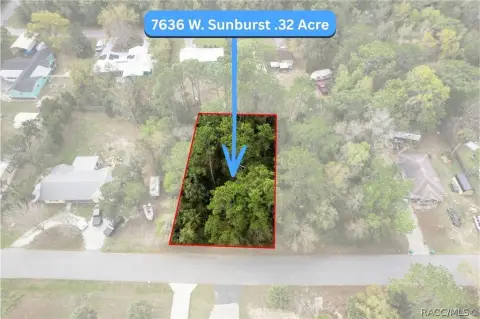 Buildable Homesite on Paved Road