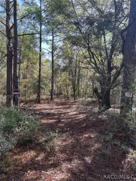 Citrus Springs Residential Lot