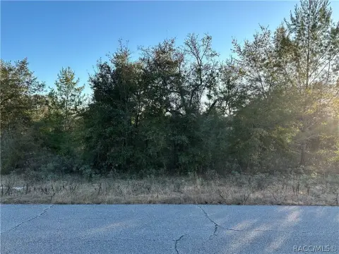 Residential Lot in Chipley, FL