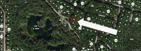 Citrus Springs Residential Lot For Sale