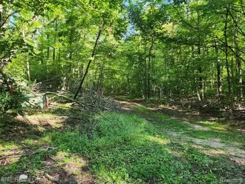 Frederic Vacant Land For Sale