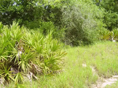 Oversized Poinciana Residential Lot