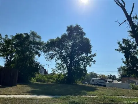 Detroit Land Development Opportunity