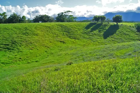 5 Acres Rolling Pastureland in Kapaa