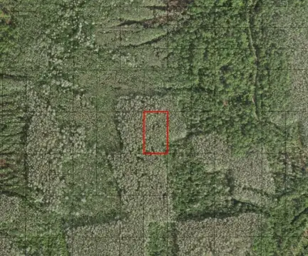 Holopaw Acreage for Recreation