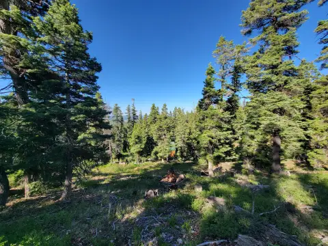 Mountain Recreation Land Lot