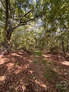 Wooded Hunting and Recreation Land