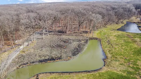 Land with Pond and Woods