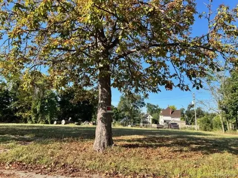 Detroit Land Near Motown Museum