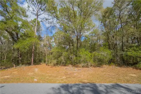 Citrus Springs Wooded Quarter-Acre Lot